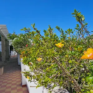 Quarto em Acomodações Particulares Blife Salinya Private At N125, Olhão